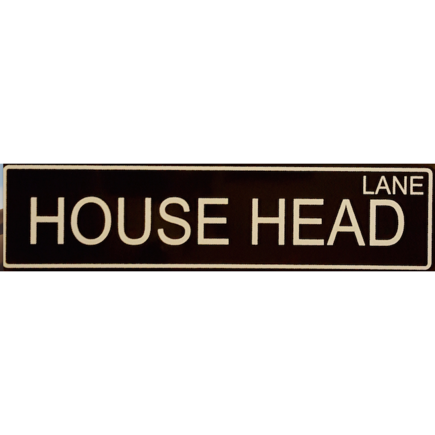 HOUSE MUSIC WAY & HOUSE HEAD LANE STREET SIGN with FREE SHIPPING! Only 10 made for each design.